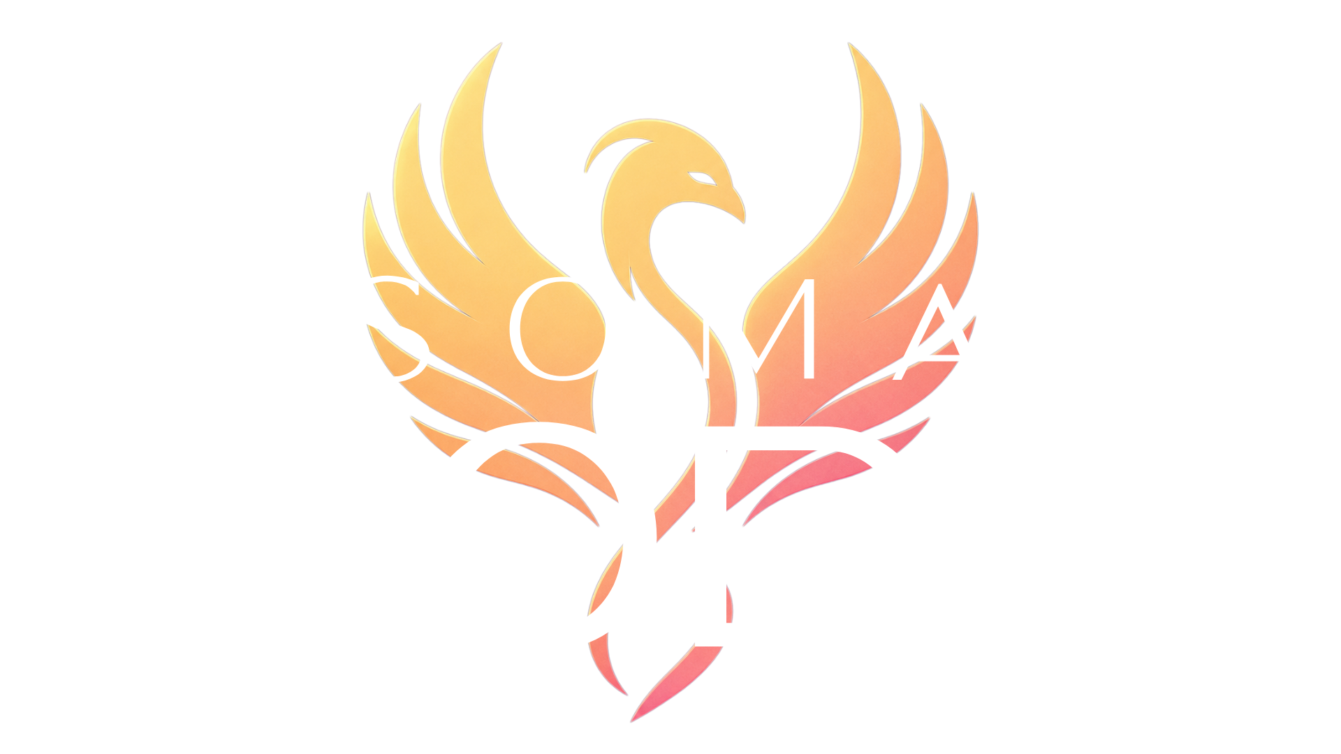 The Soma Code Experience